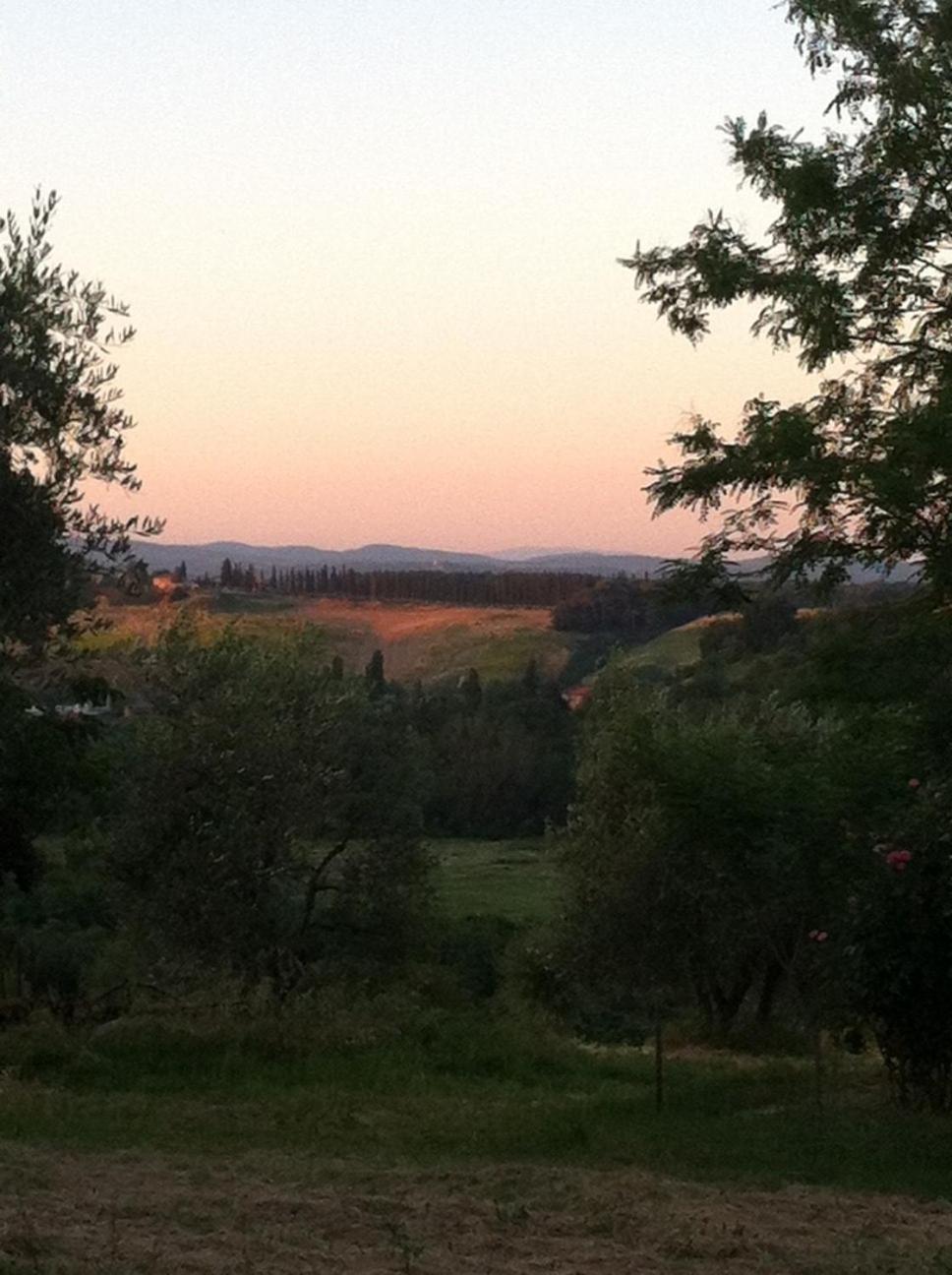 Agriturismo La Collina سيينا المظهر الخارجي الصورة